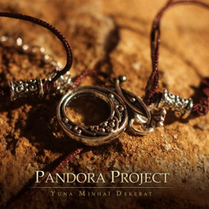 Pandora's Ekkar necklace